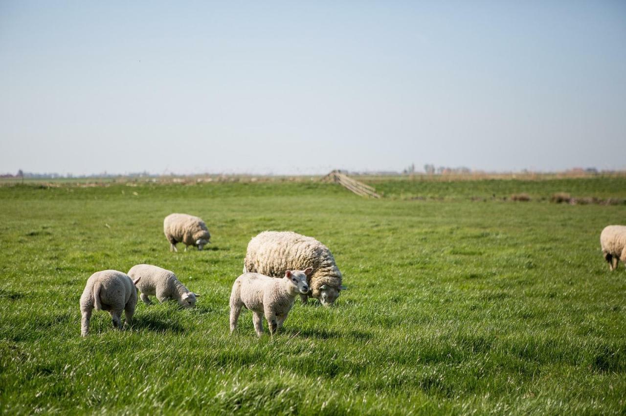 Boerderij Appartementen Under De Wol - Sudwest Fryslan Oudega  Экстерьер фото